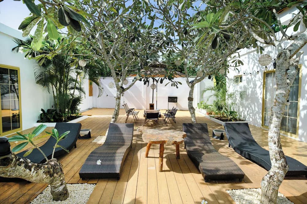 Garden view