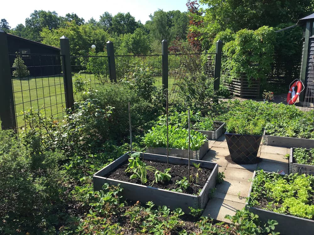 Garden