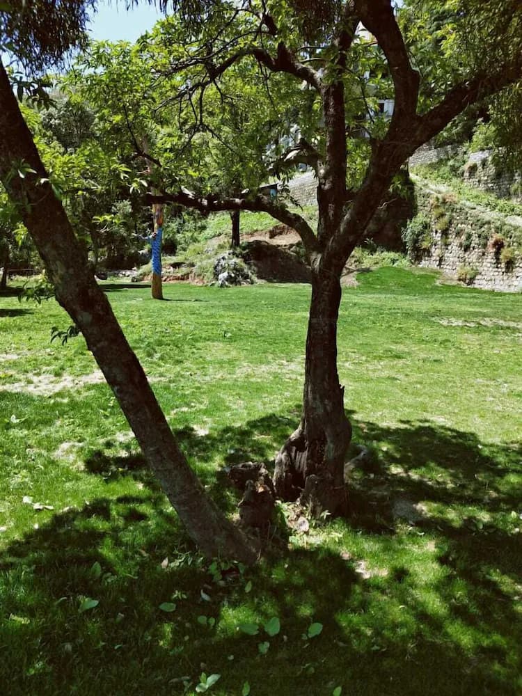 Property grounds