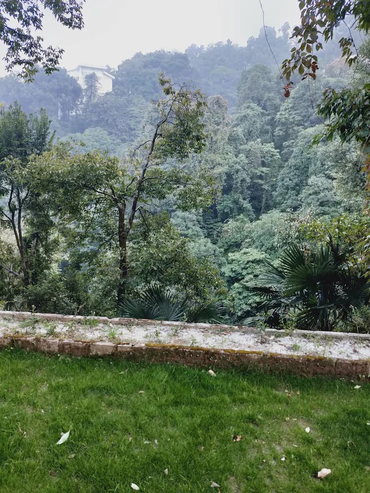 Garden