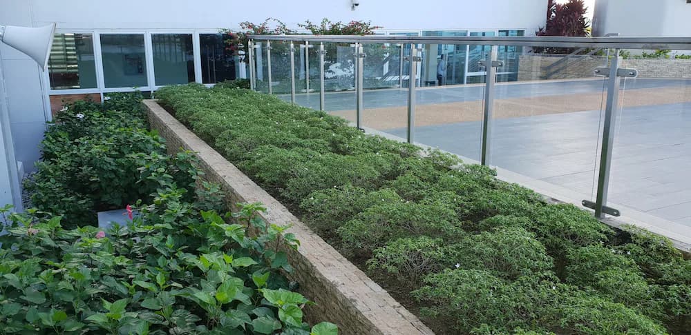 Garden view
