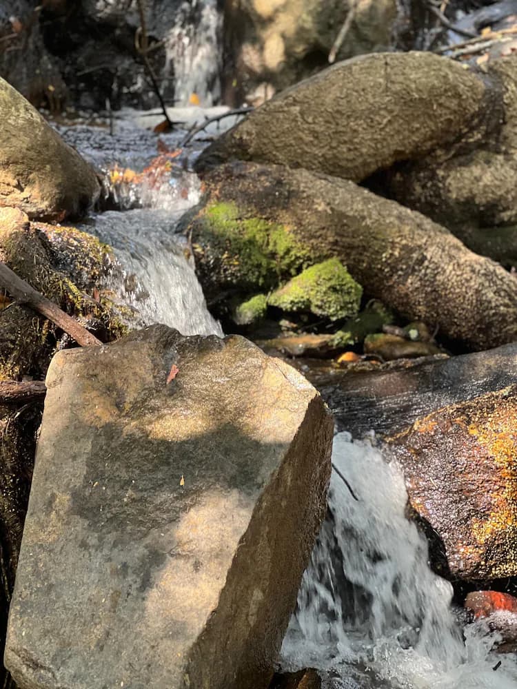 Hiking