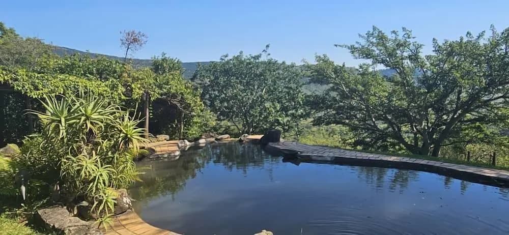 Natural pool