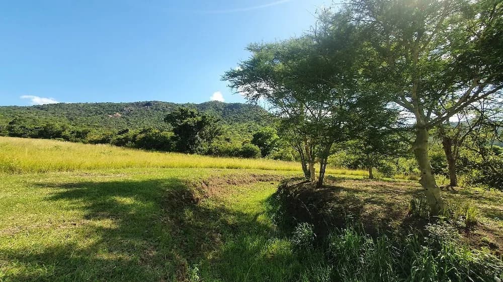 Hiking
