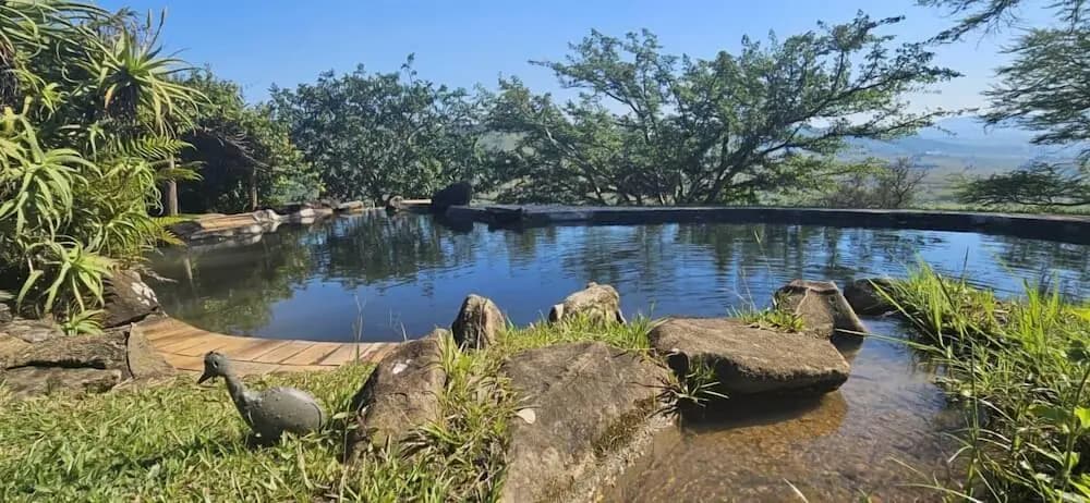 Natural pool