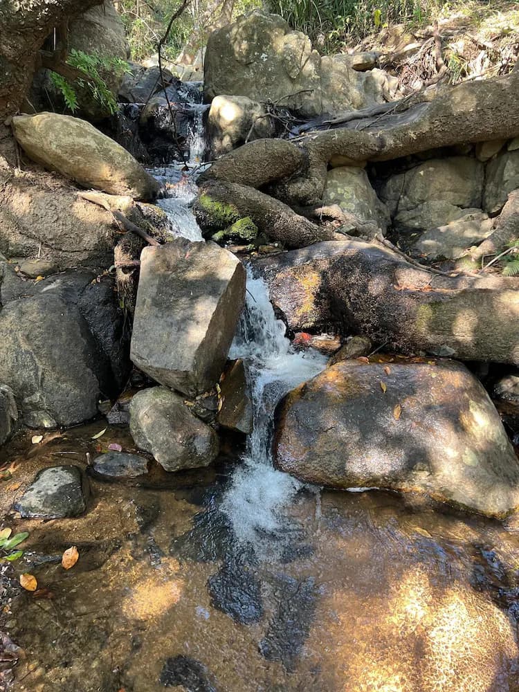 Hiking