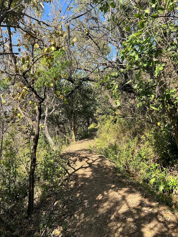 Hiking