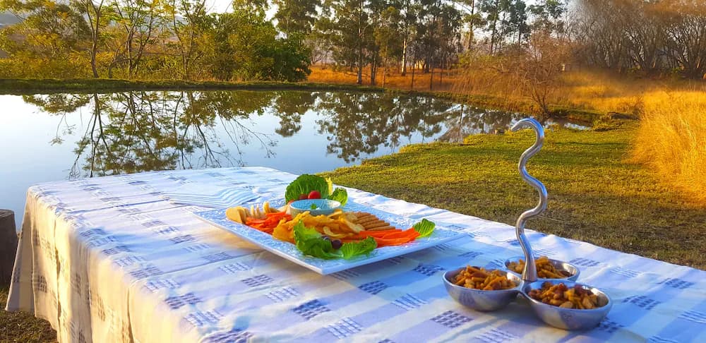 BBQ/picnic area