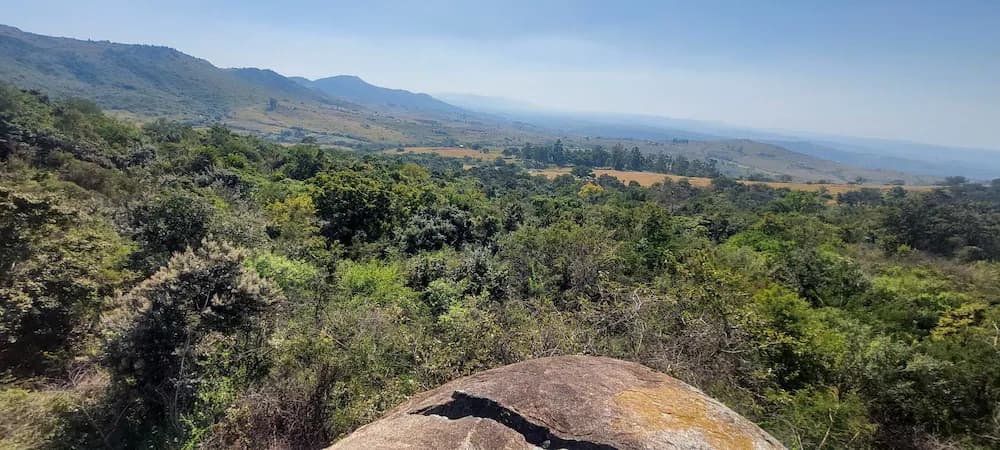 Hiking