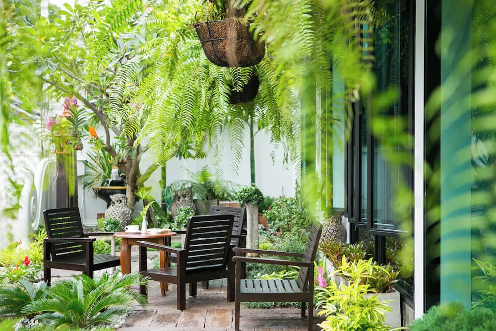 Garden