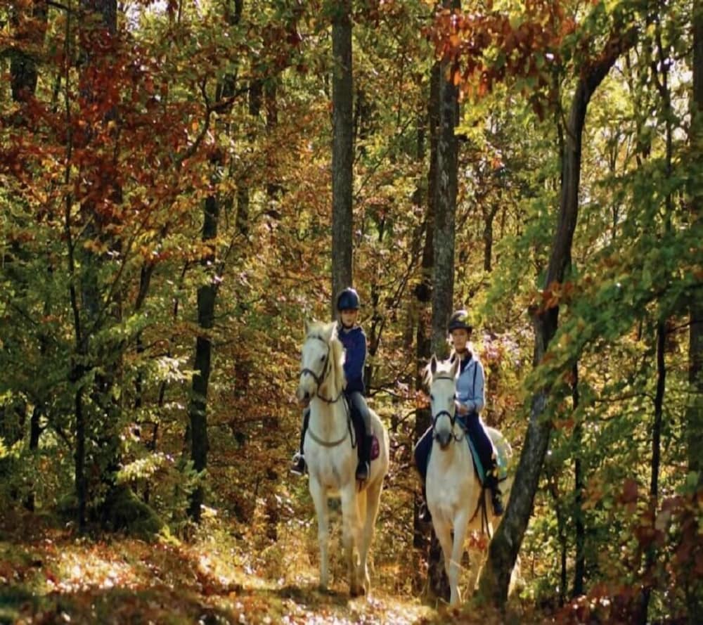 Horseback riding