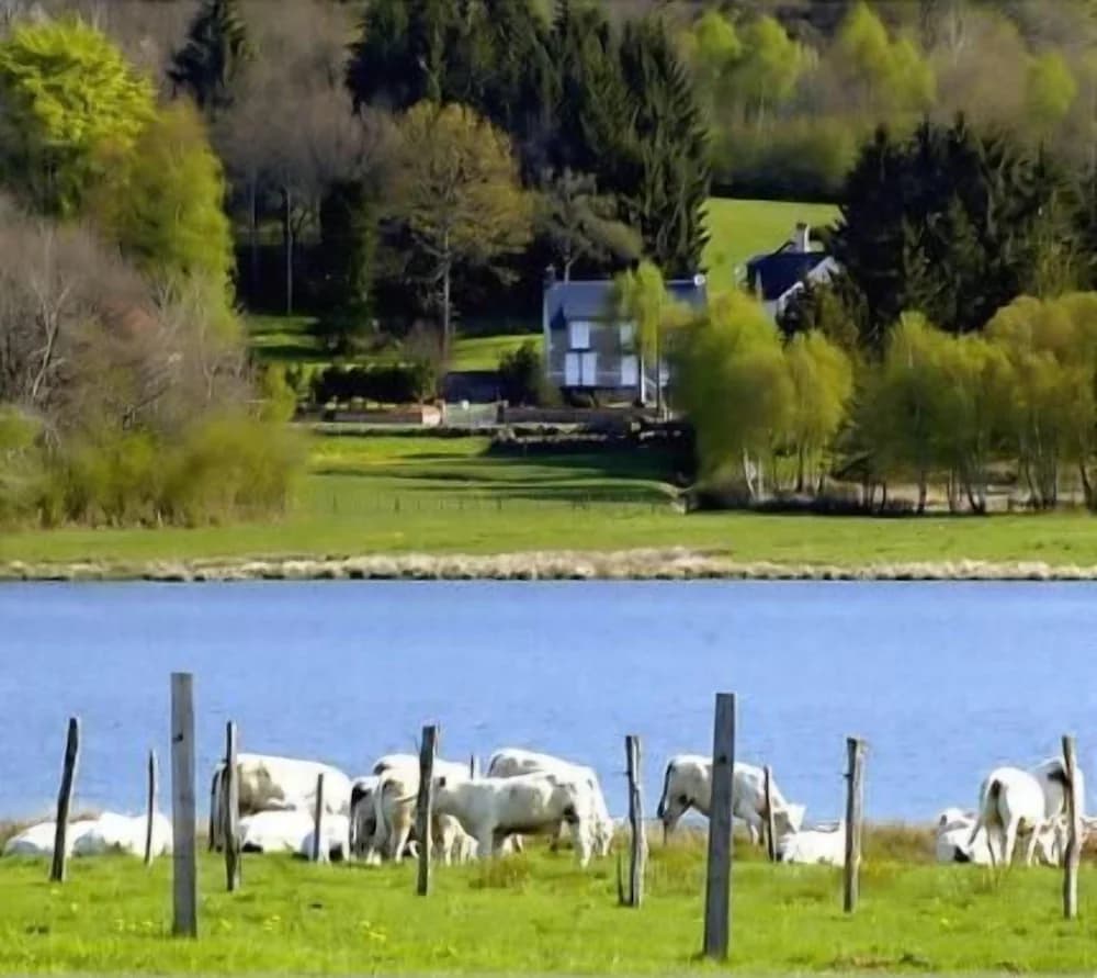 Lake