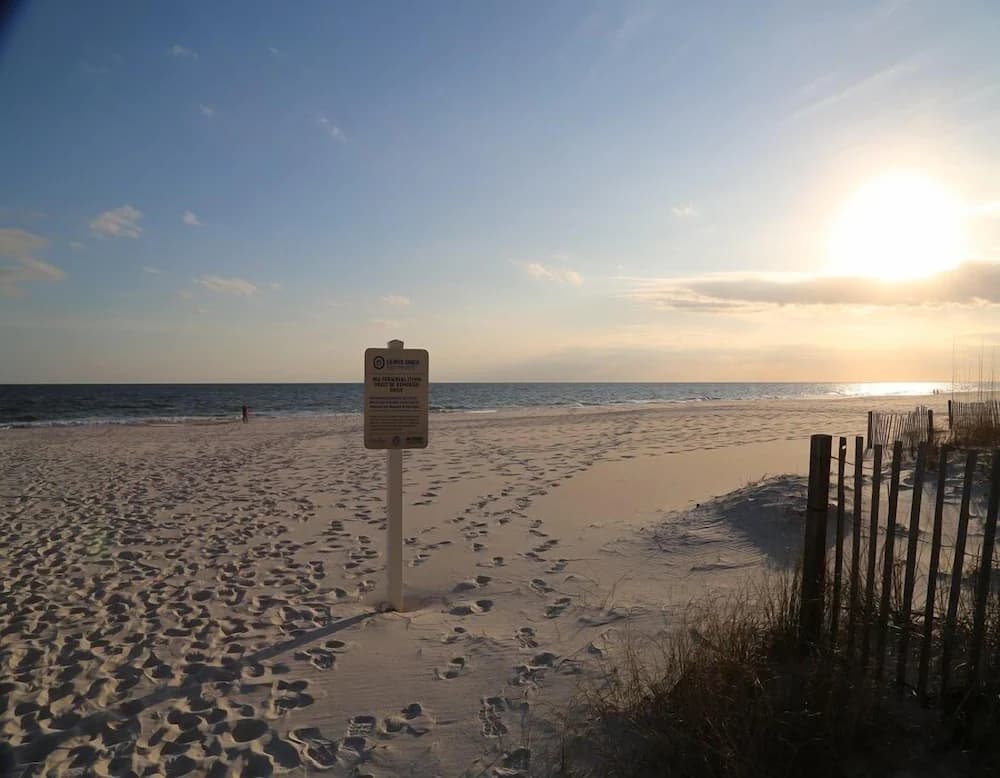Beach