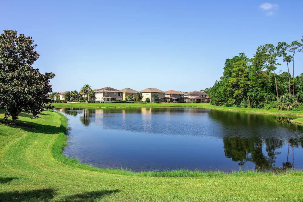 Lake view