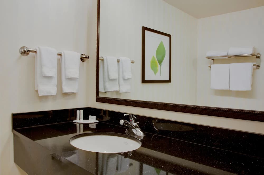 Bathroom sink