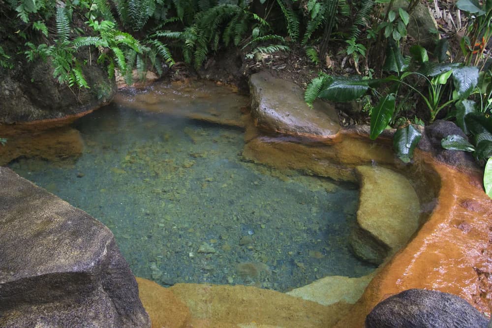 Natural pool