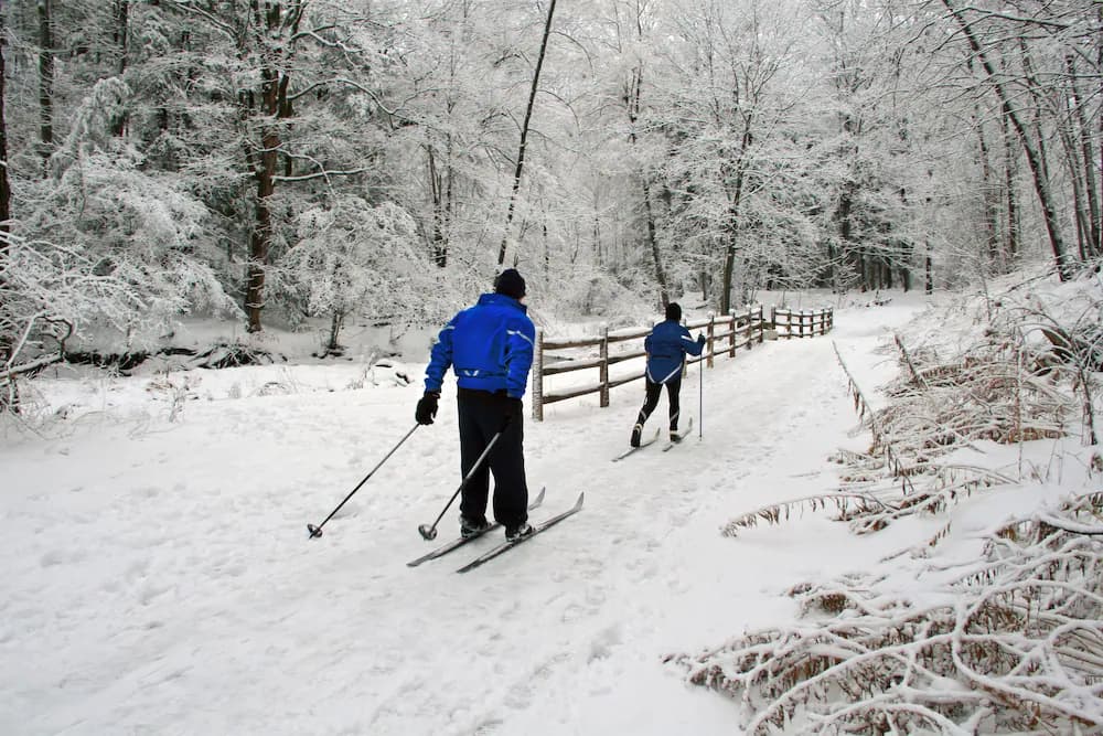 Skiing
