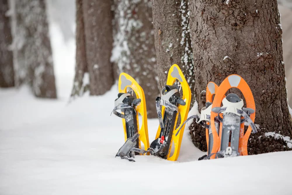 Snowshoeing