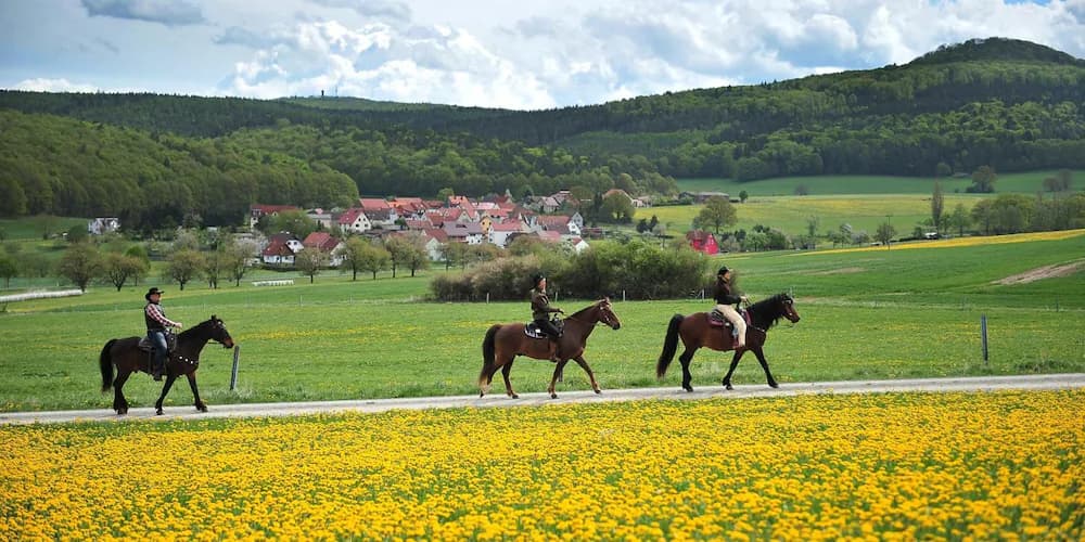 Horseback riding