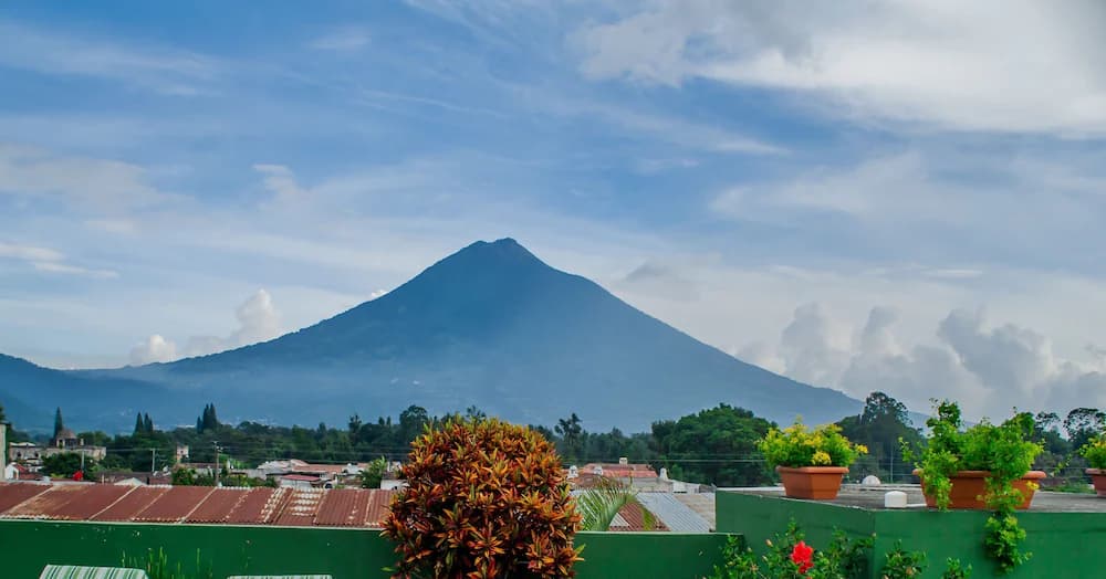 Mountain view