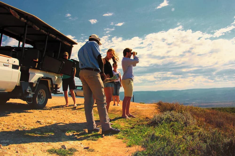 Safari