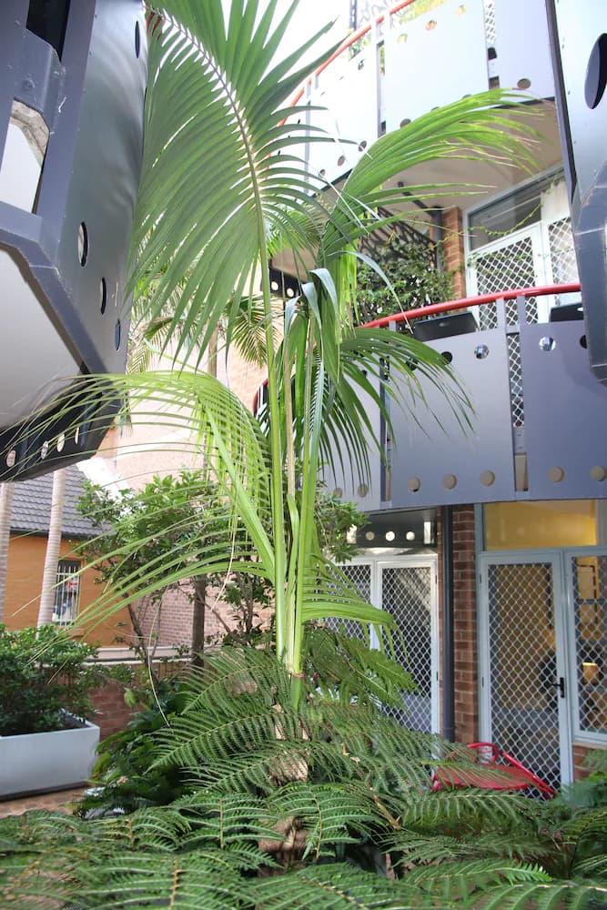 Courtyard