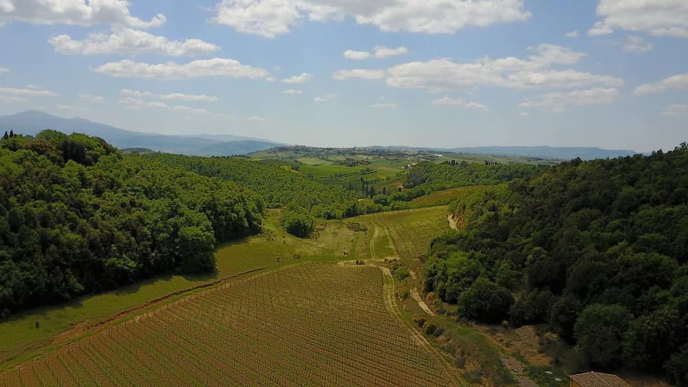 Land view from property