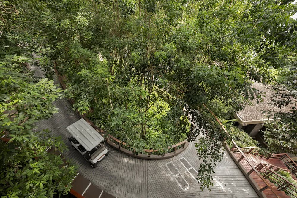 Garden view