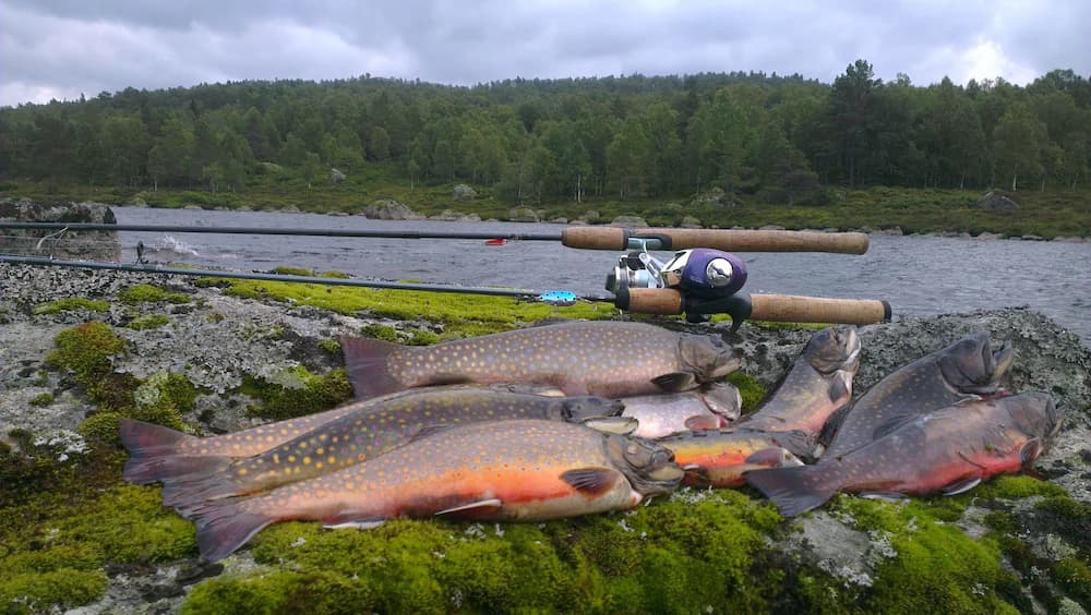 Fishing