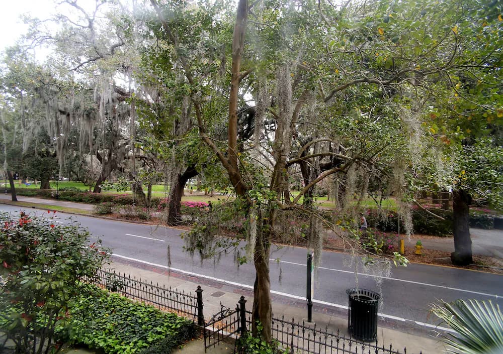 View from room