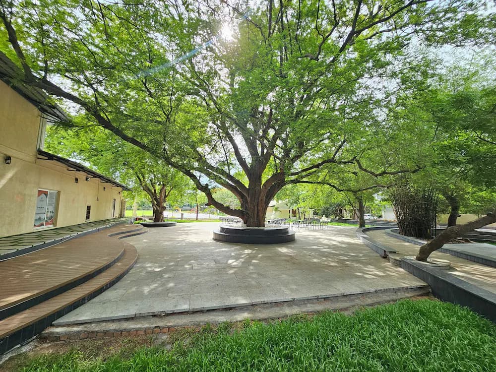 Outdoor banquet area