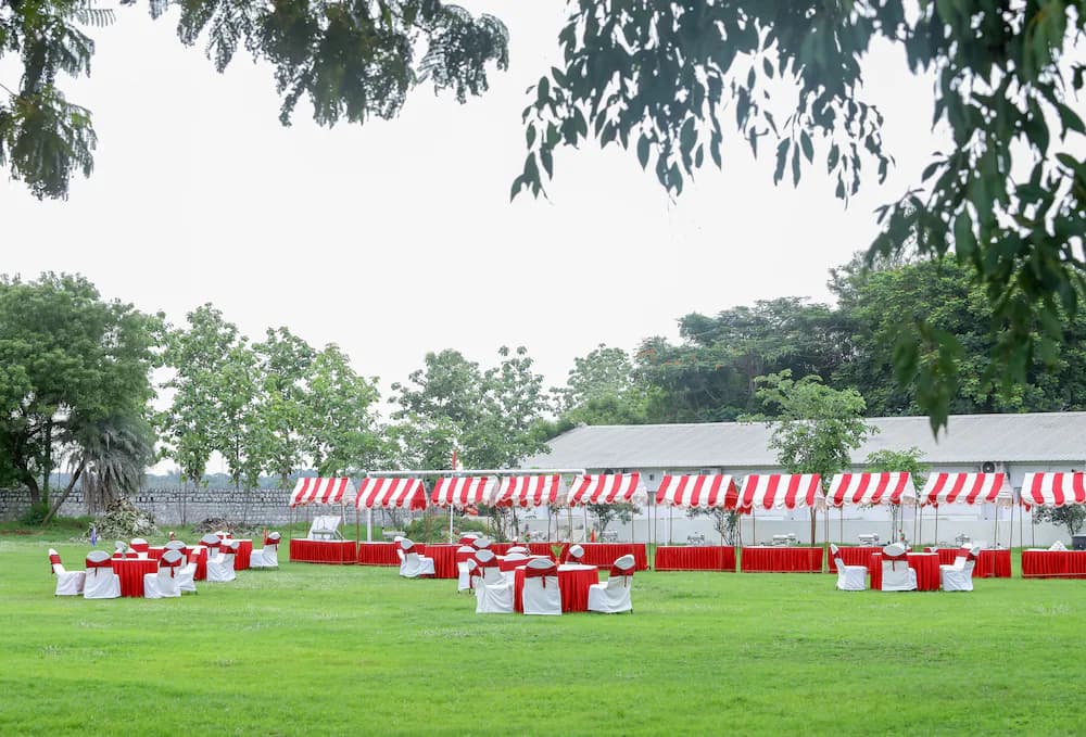 Outdoor wedding area