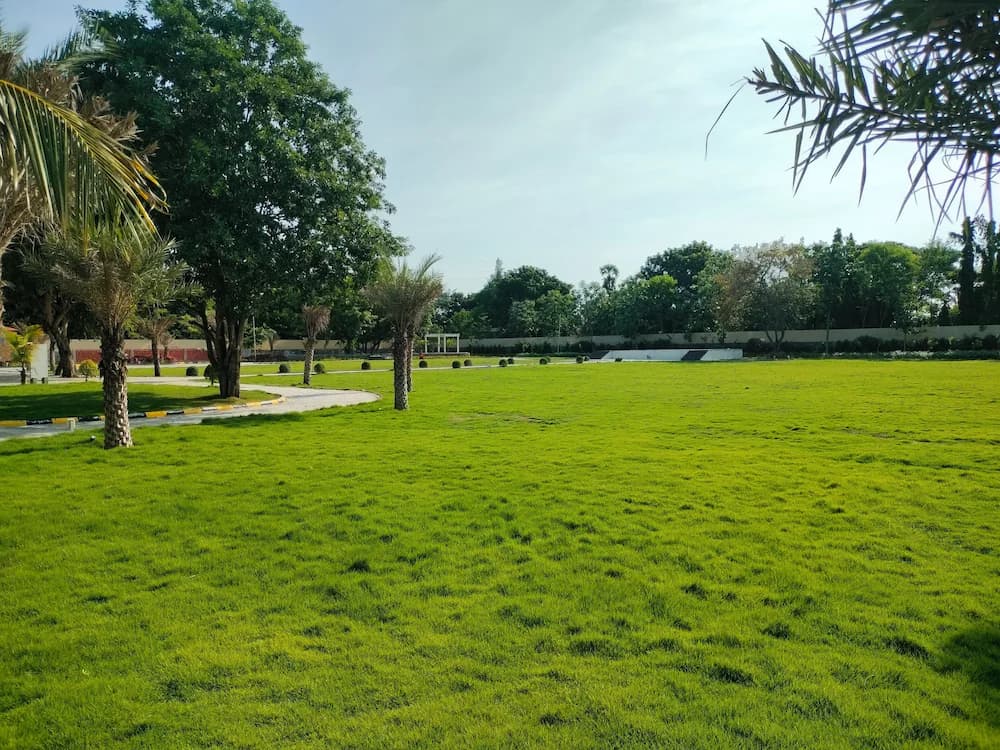 Outdoor wedding area