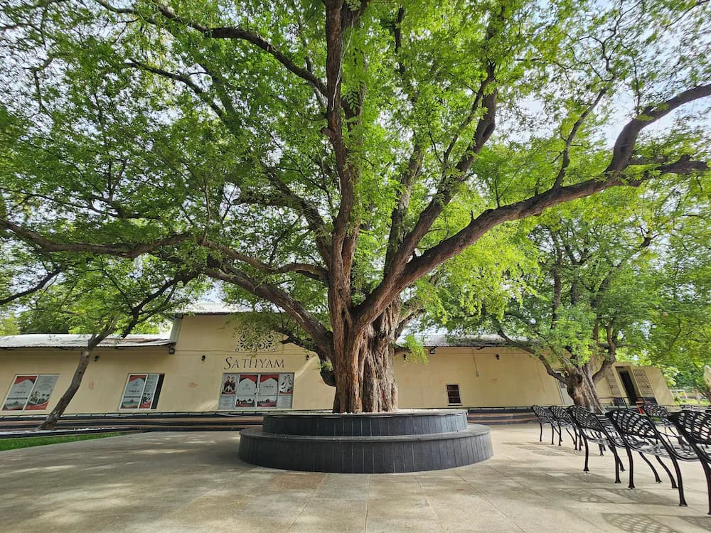 Outdoor banquet area