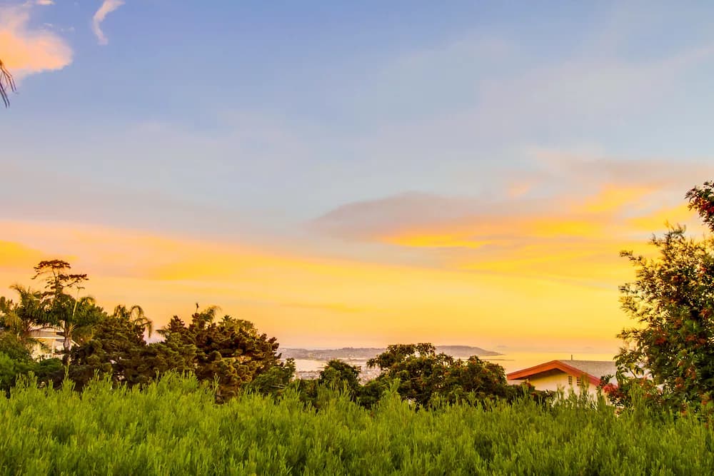 View from property