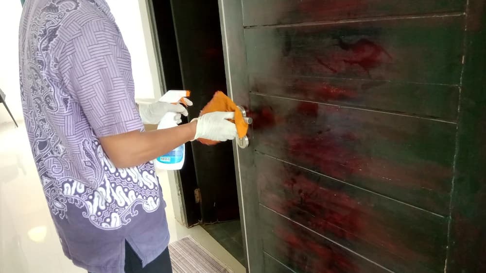 Cleanliness standards
