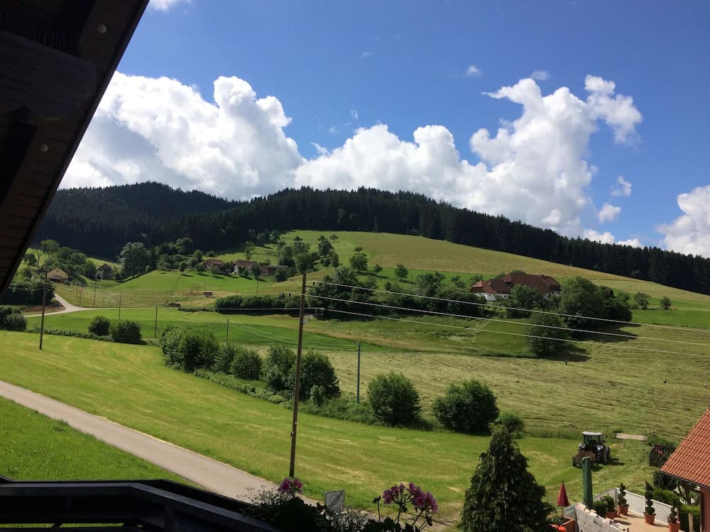Mountain view