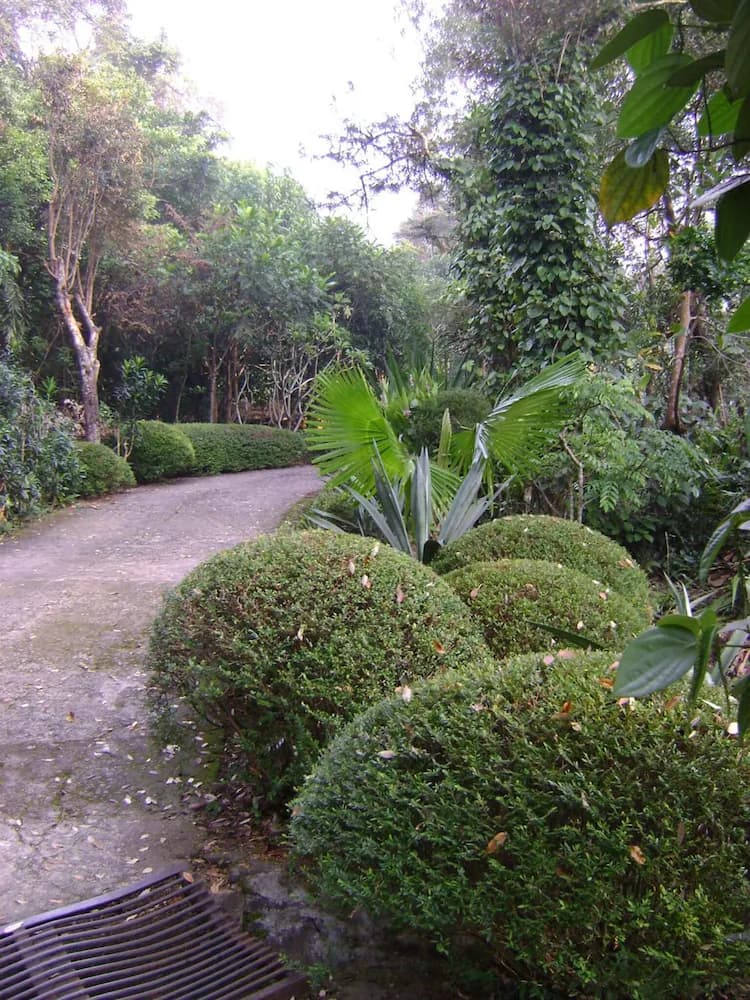 Property grounds