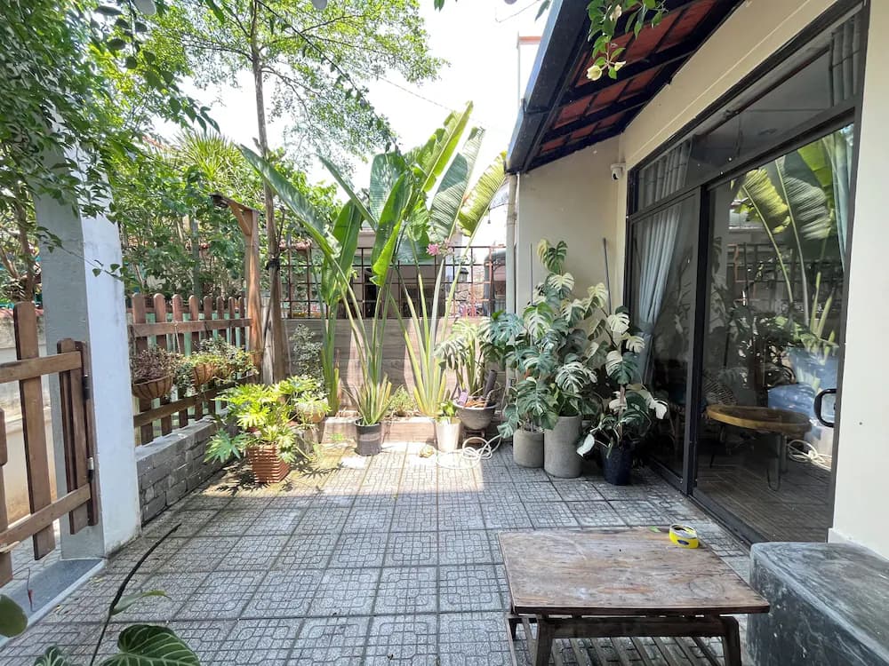 Garden view