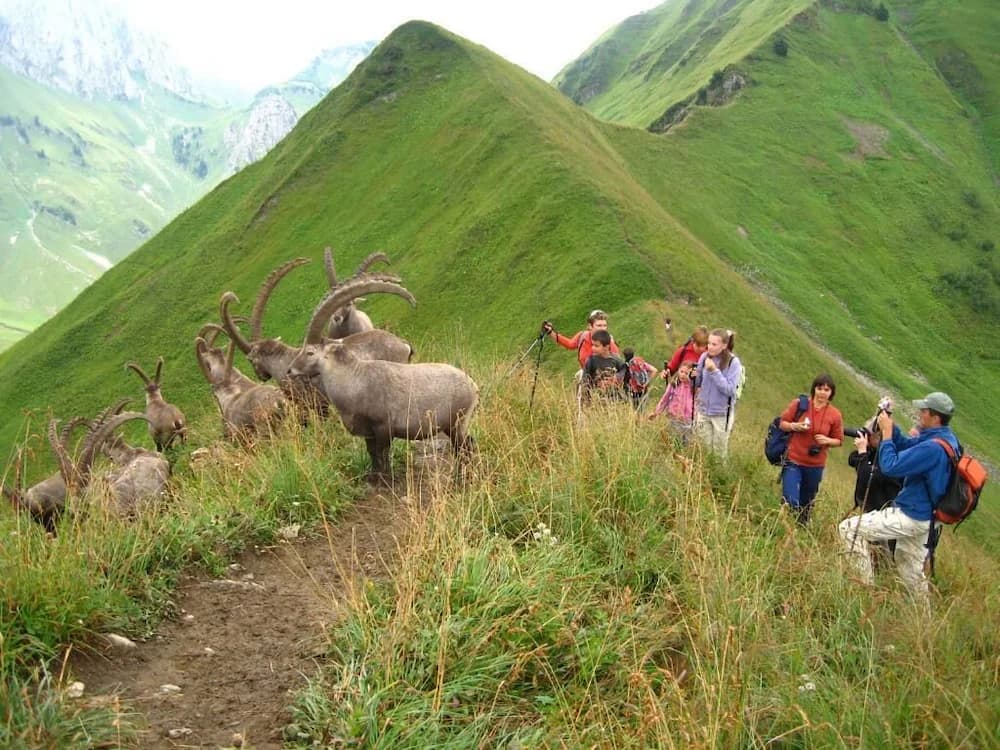 Hiking