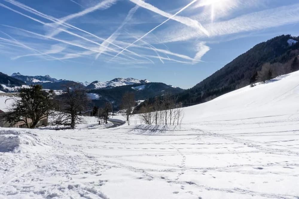 Skiing