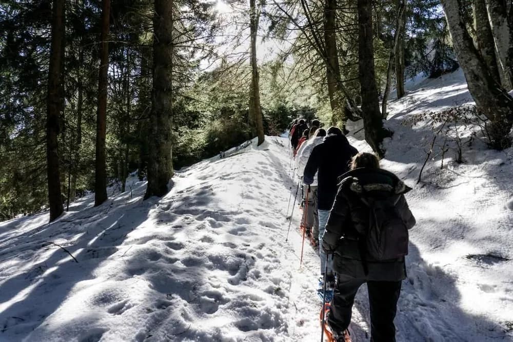 Snowshoeing