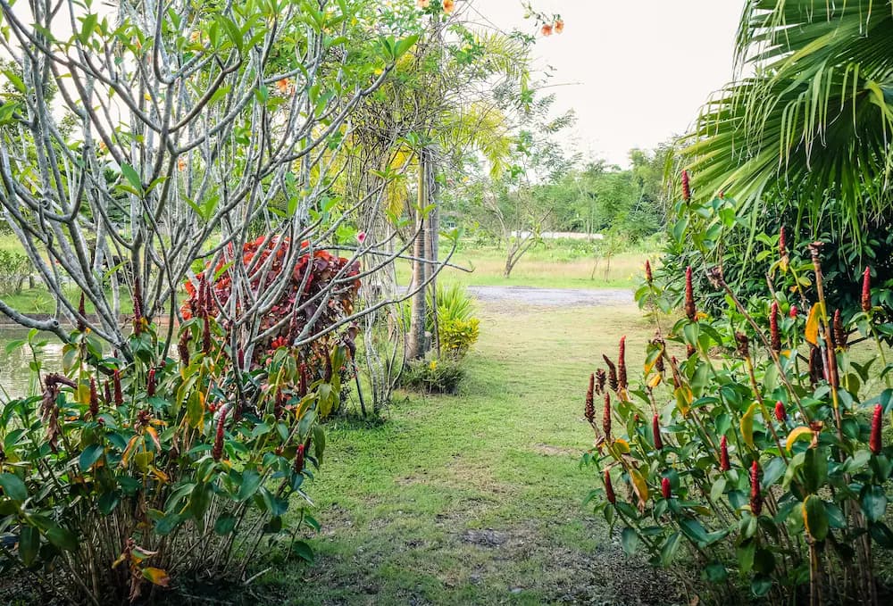 Property grounds