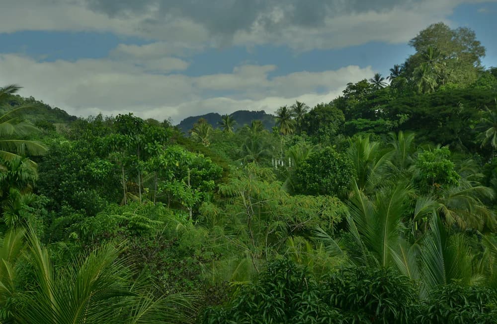View from property