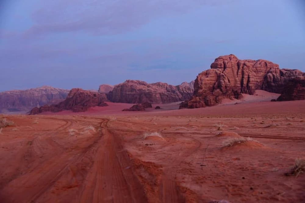 Ecotours