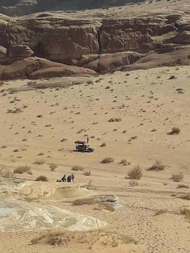 Ecotours