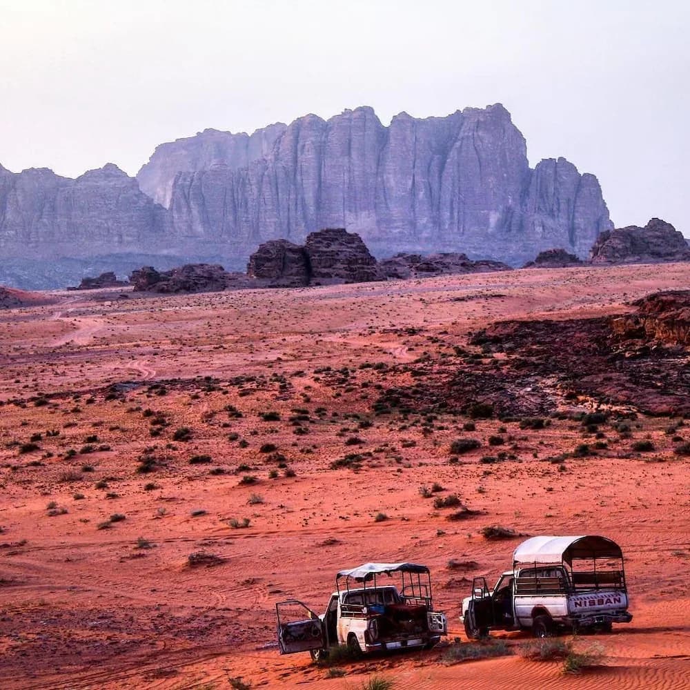 Ecotours