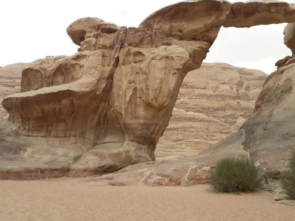 Ecotours