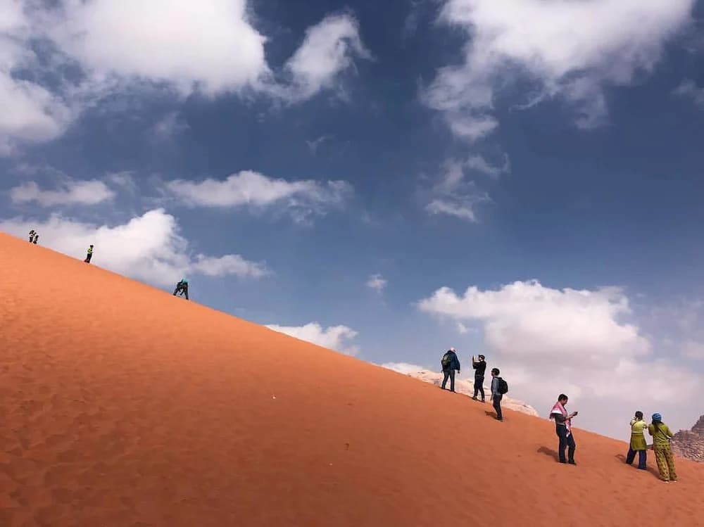 Ecotours
