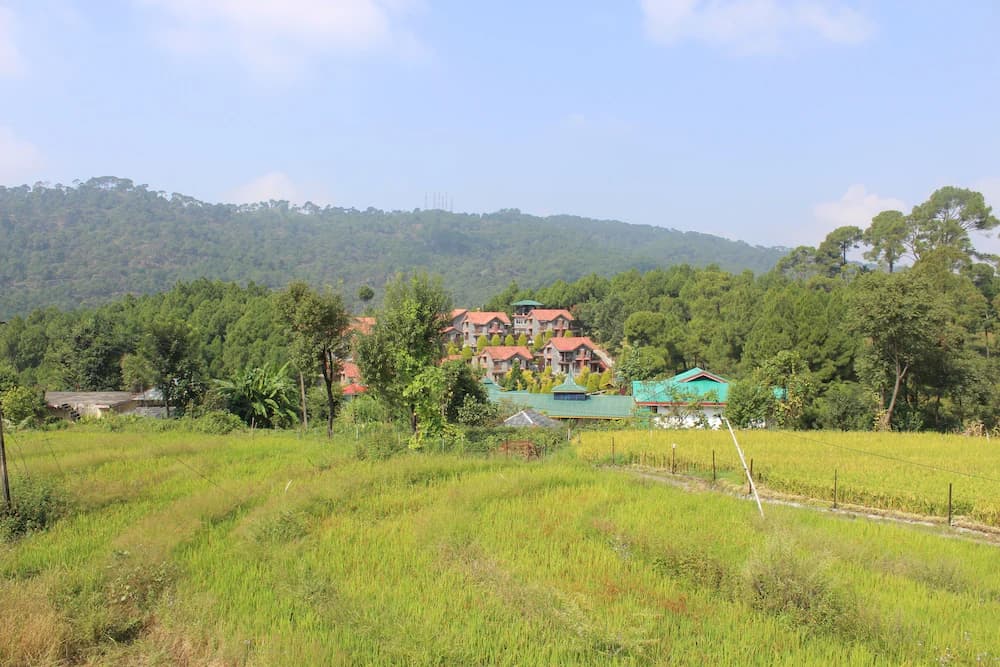 Garden view